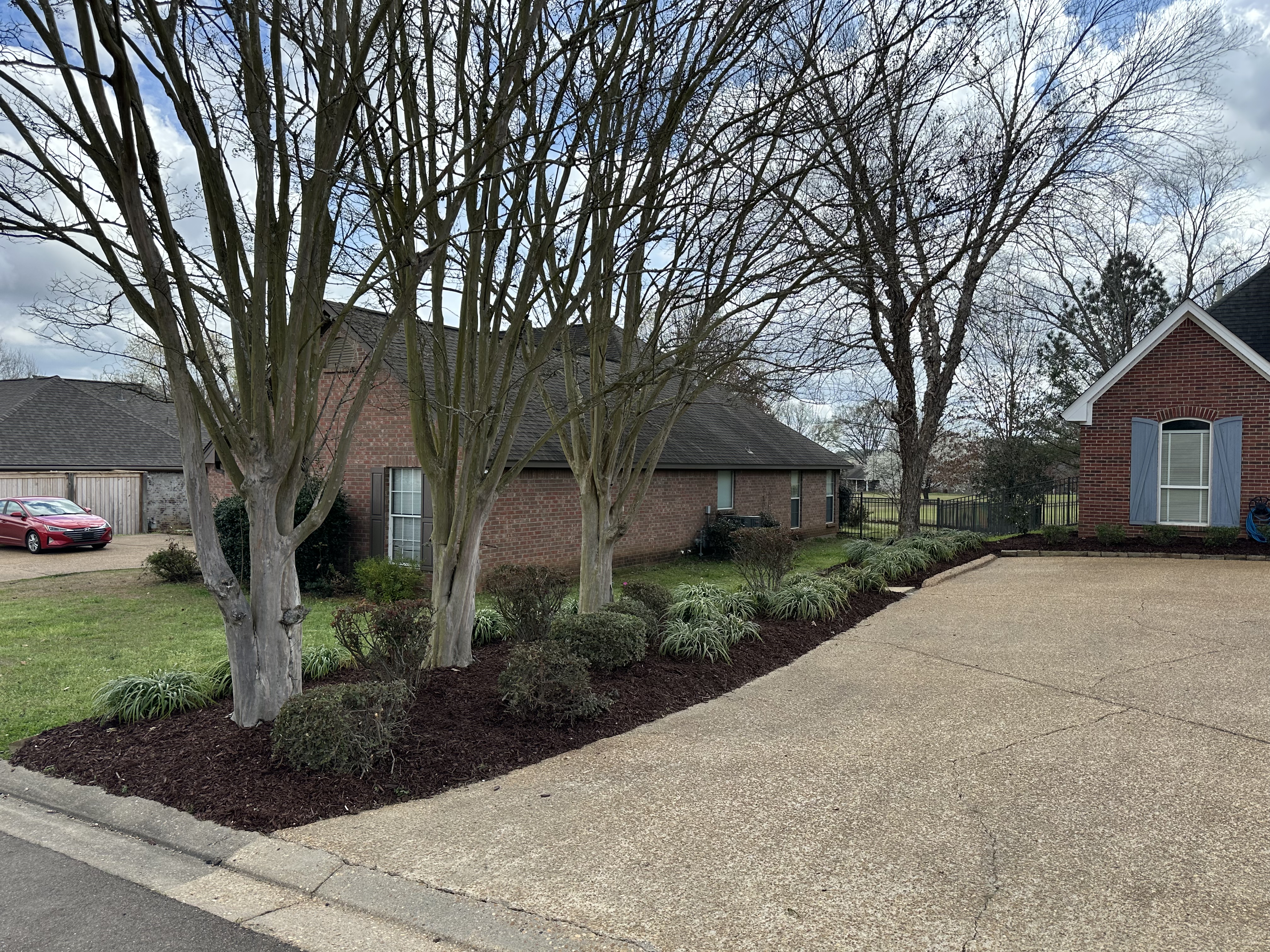 Fresh mulch beds and trimmed crape myrtles